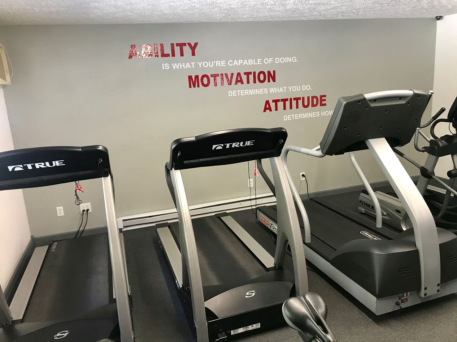 Workout equipment inside Top Dog Fitness Center